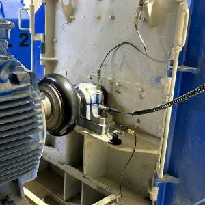 Gemini_Generated_Image_3gkz3t3gkz3t3gkz (1)